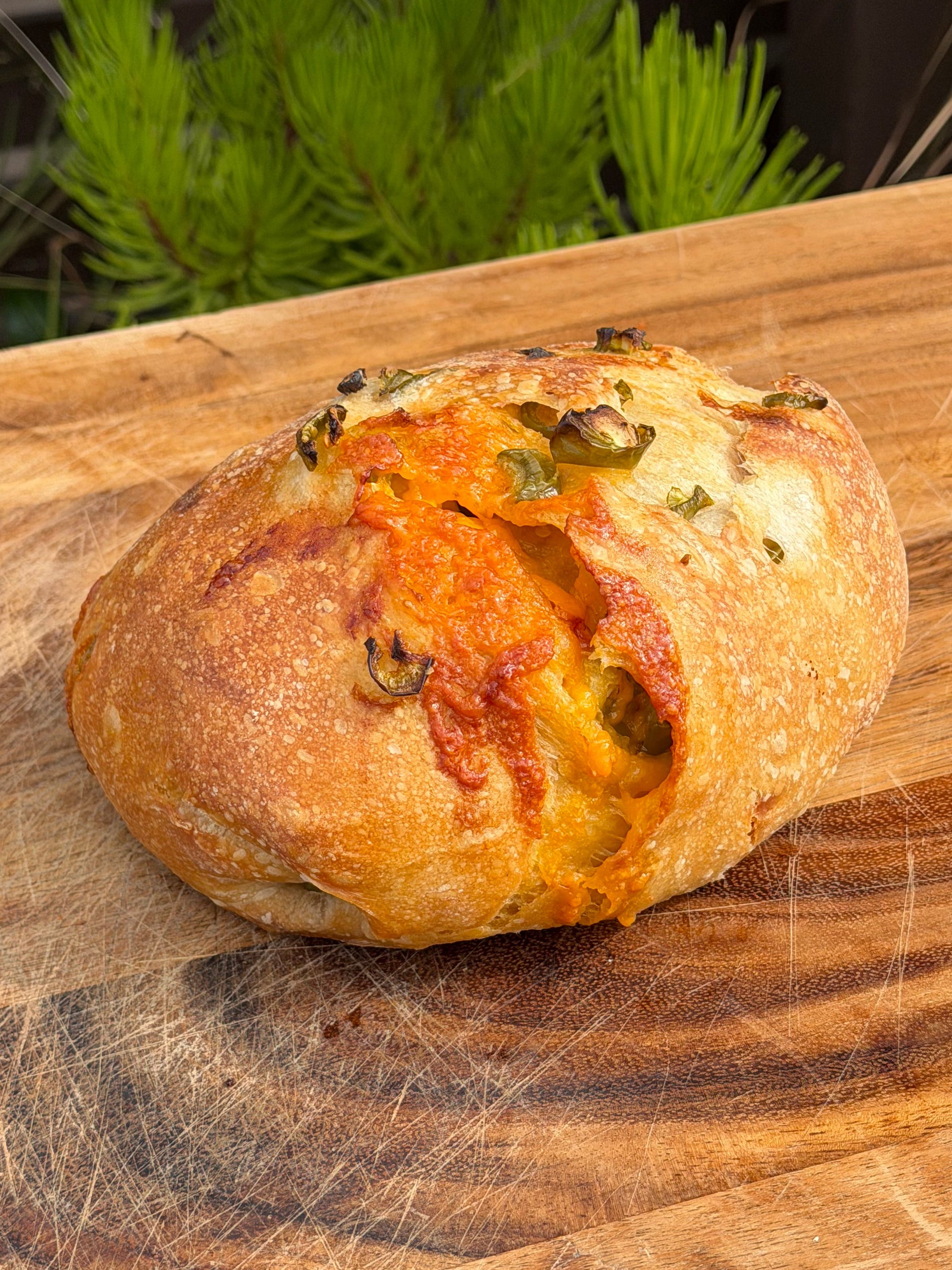 Jalapeño Cheddar